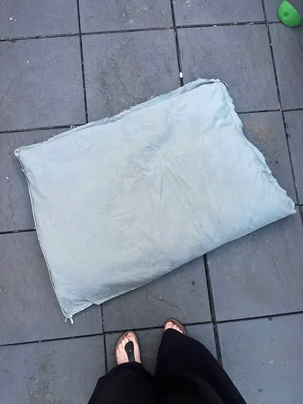 Photo of free Garden cushion/dog bed (Gleedless (S12)) #2