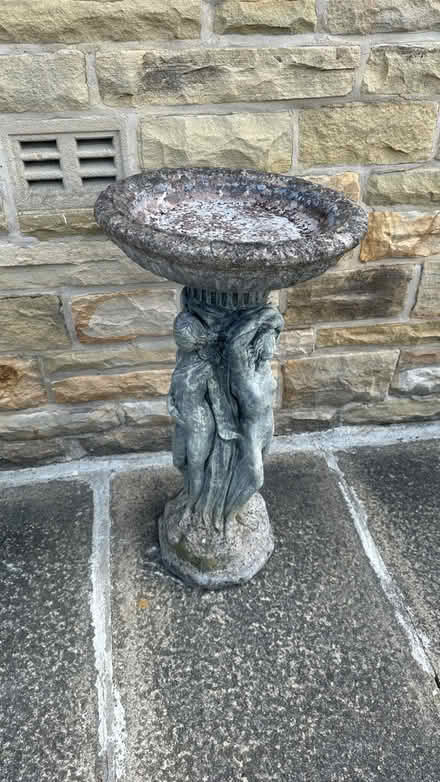 Photo of free Bird bath (BD16) #1
