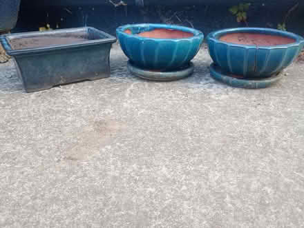 Photo of free Small bonsai pots (Rudloe SN13) #1