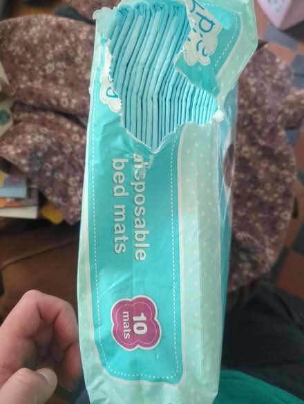 Photo of free disposable bed mats (Marsh LA1) #2
