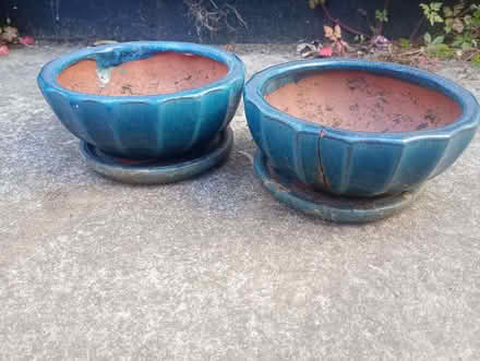 Photo of free Small bonsai pots (Rudloe SN13) #2