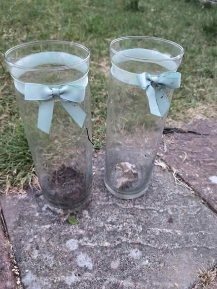 Photo of free 2 tall glass ?jars? (BN1) #1