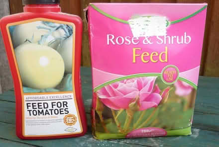 Photo of free Rose and shrub feed (Bridlington YO16) #2