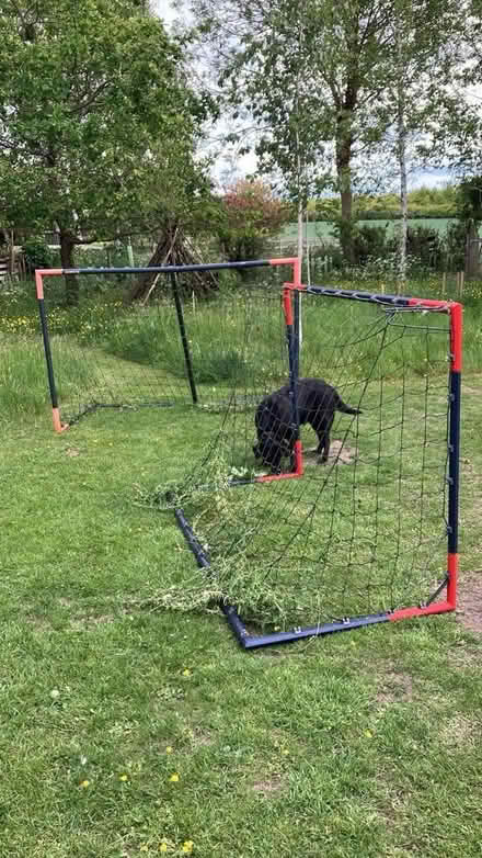 Photo of free 2 junior football goals (Foxton) #1