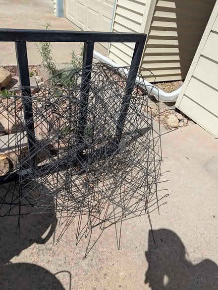 Photo of free garden trellises (South Berthoud) #3