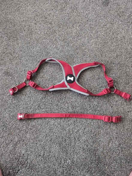 Photo of free Dog harness and collar (Old Coulsdon CR5) #1