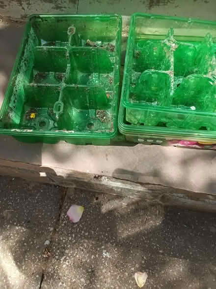 Photo of free Seedling trays (N17 turnpike lane) #1