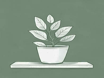 Photo of Plants for window box (Newington Green N1) #1