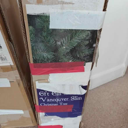 Photo of free Christmas tree (Perivale UB6) #3