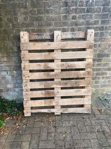 Photo of free Pallet (Radley Green) #1