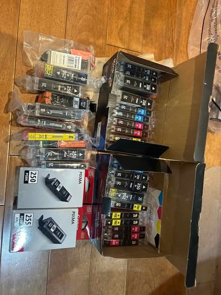 Photo of free Canon printer cartridges 250/251 (Cherry Hill, Sunnyvale) #1
