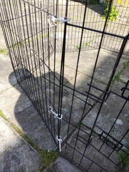 Photo of free Dog Pen (Caton LA2) #4