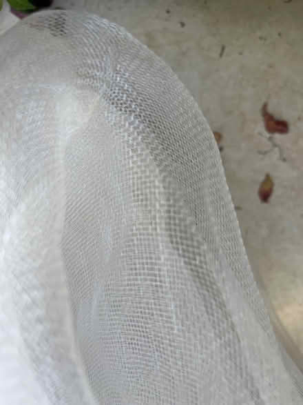 Photo of free Garden fine netting (Teddington TW11) #2