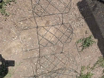 Photo of free garden trellises (South Berthoud) #1