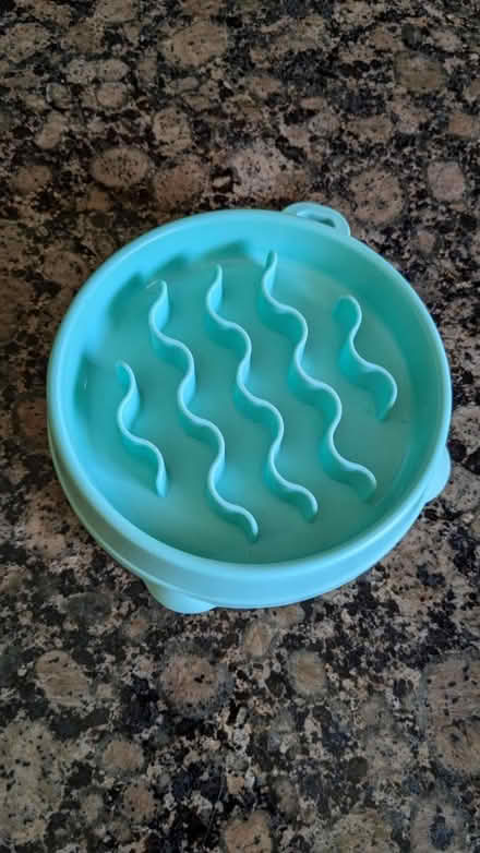 Photo of free Dog bowl - slow feeder (Cuesta Park) #1
