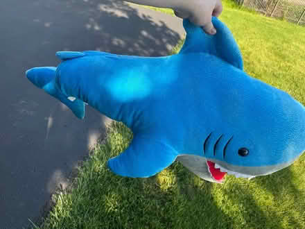 Photo of free Large Shark Plush (Center Valley, PA) #2