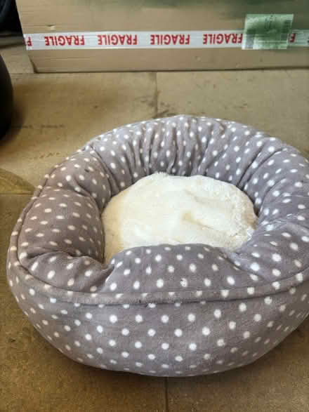 Photo of free Cat bed and litter tray (CF11 leckwith) #1