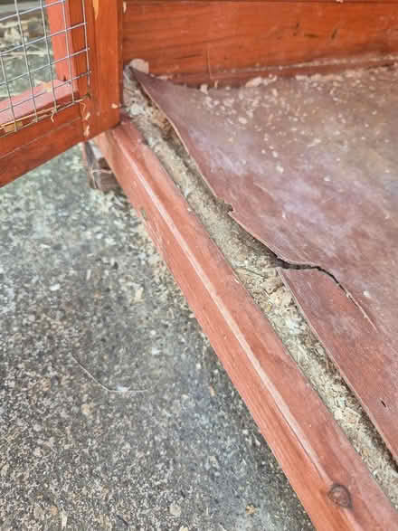 Photo of free Rabbit hutch (Grove OX12) #3