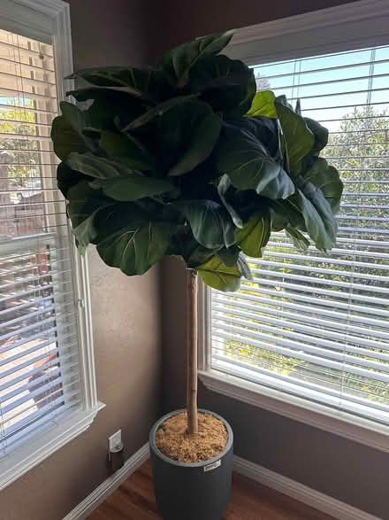 Photo of free Faux plant (Roosevelt) #1