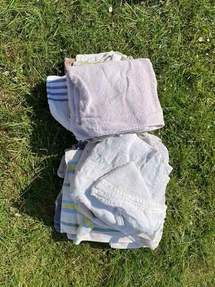 Photo of free Old towels (Trowbridge BA14) #1