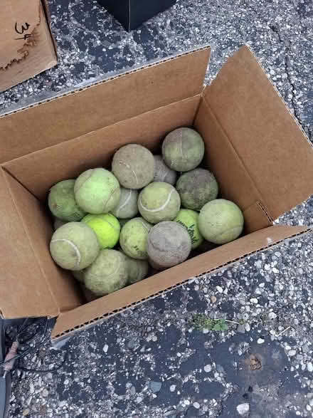 Photo of free Used tennis balls (Waterford) #1