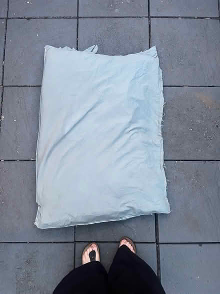 Photo of free Garden cushion/dog bed (Gleedless (S12)) #1