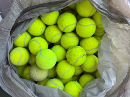 Photo of free bag used tennis balls (SG18 9SE) #1