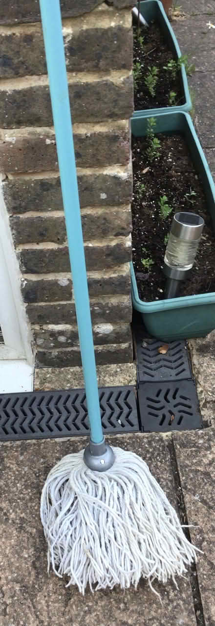 Photo of free Mop (Storrington RH20) #1