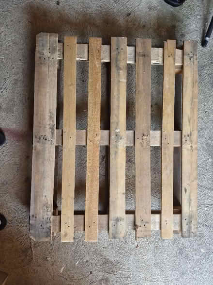 Photo of free Wooden pallet (Great Totham CM9) #1