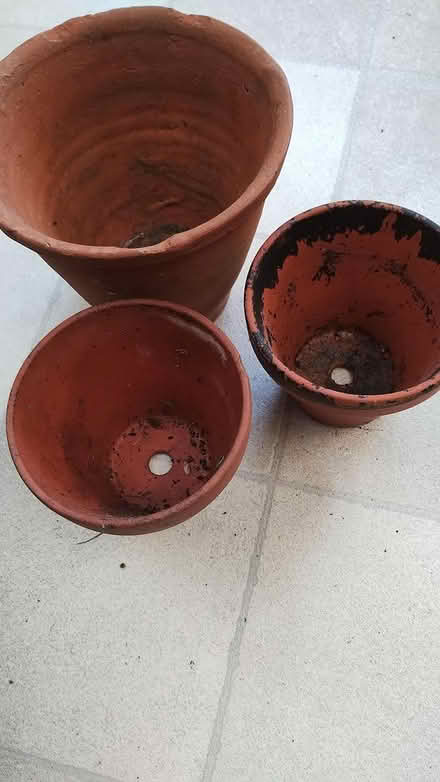 Photo of free Clay plant pots (Tonwell SG12) #1