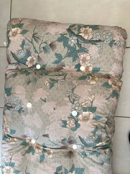 Photo of free Multicoloured sun lounger cushions (Rothley LE7) #1