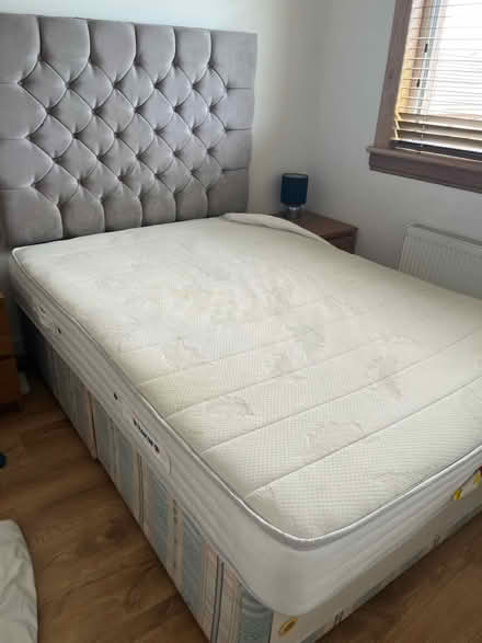 Photo of free Double bed and mattress (Cove Bay) #3