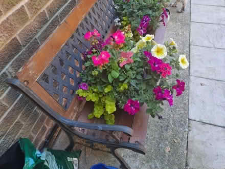 Photo of free Garden Bench (Emsworth PO10) #3