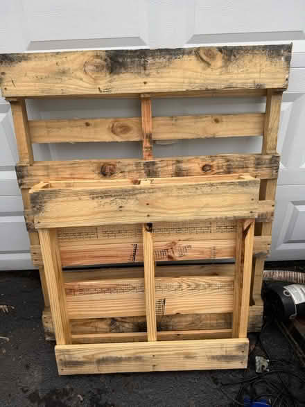 Photo of free 2 pallets (West Bristol) #1