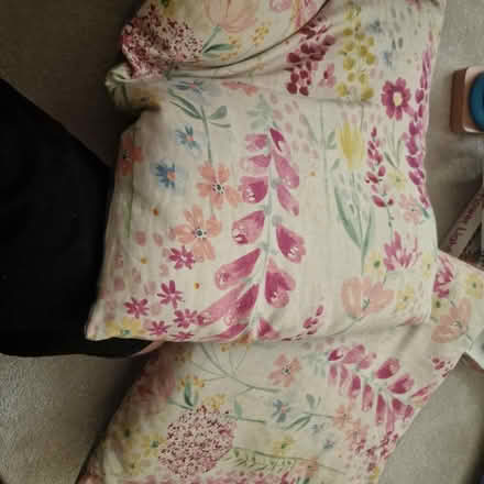 Photo of free Two Medium Cushions (Wallington, SM6) #1