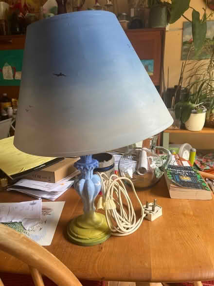 Photo of free Lamp (Lewes) #2