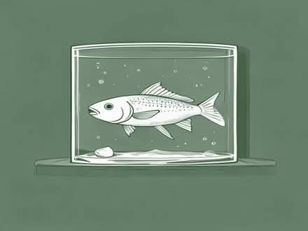 Photo of Fish Tank accessories (Hellingly BN27) #1