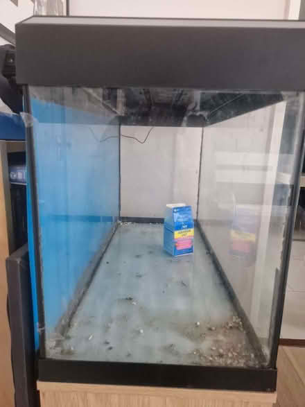 Photo of free Fluval Fish Tank (Hathern LE11) #2