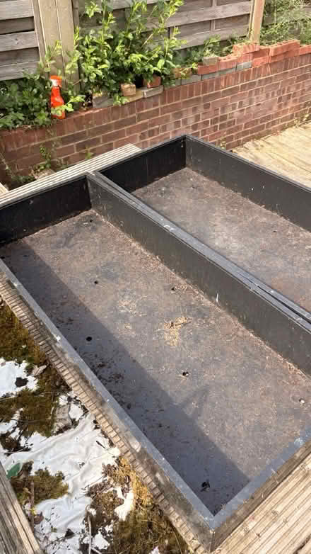 Photo of free Floral Grow buckets (Borehamwood) #1