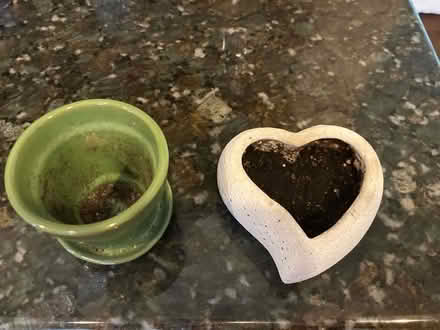 Photo of free Two planting pots (Havertown) #1