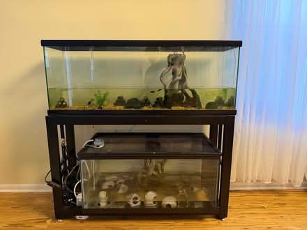 Photo of free Two fish aquariums and a stand (Novi) #1