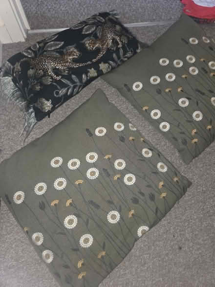 Photo of free cushions with covers (Great Leighs CM3) #1