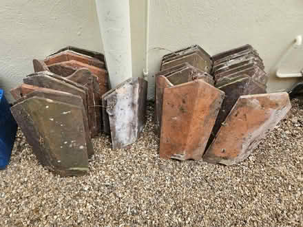 Photo of free Clay Hip tiles (TW1 East Twickenham) #1