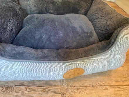 Photo of free Dog Bed - freshly cleaned (ware SG12) #3