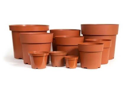 Photo of Large plant pots (Harpenden AL5) #1