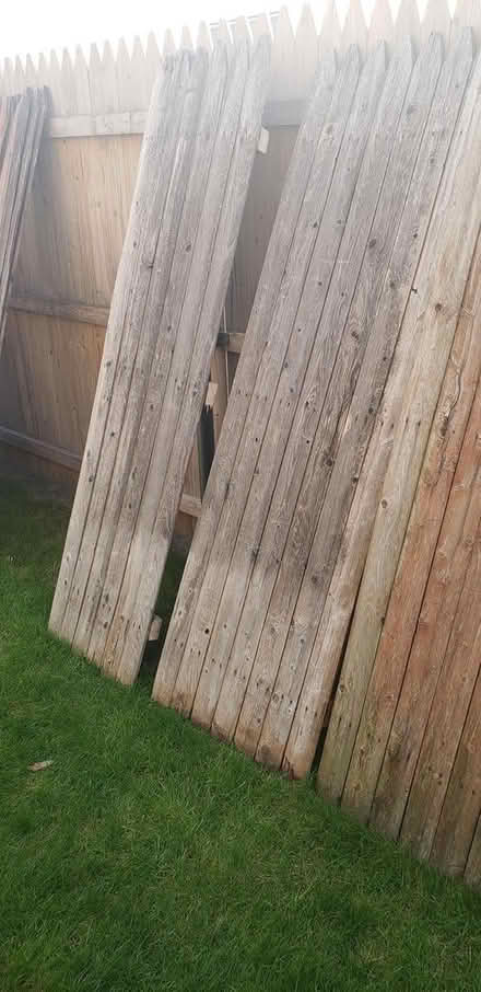 Photo of free Cedar Pickets 6ft Tall (East Providence) #1