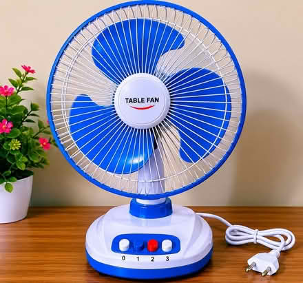 Photo of Fan (Heyshoot Road P04) #1