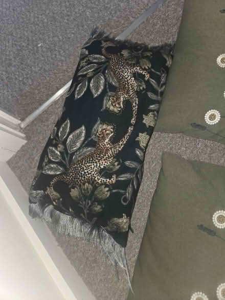 Photo of free cushions with covers (Great Leighs CM3) #3