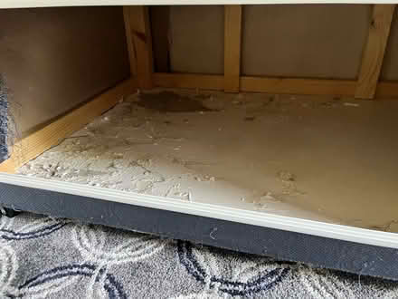 Photo of free double divan bed and mattress (Werrington PE4) #4