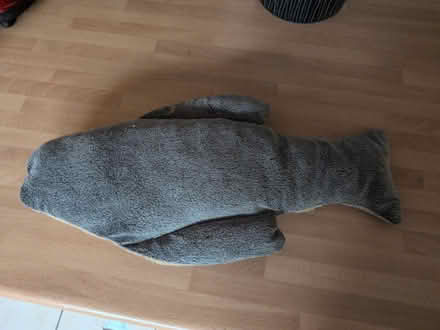 Photo of free Fish toy for cats (Shippon OX13) #1